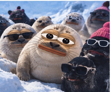 Sealpe sighting 6