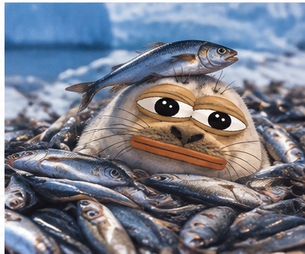 Sealpe sighting 10